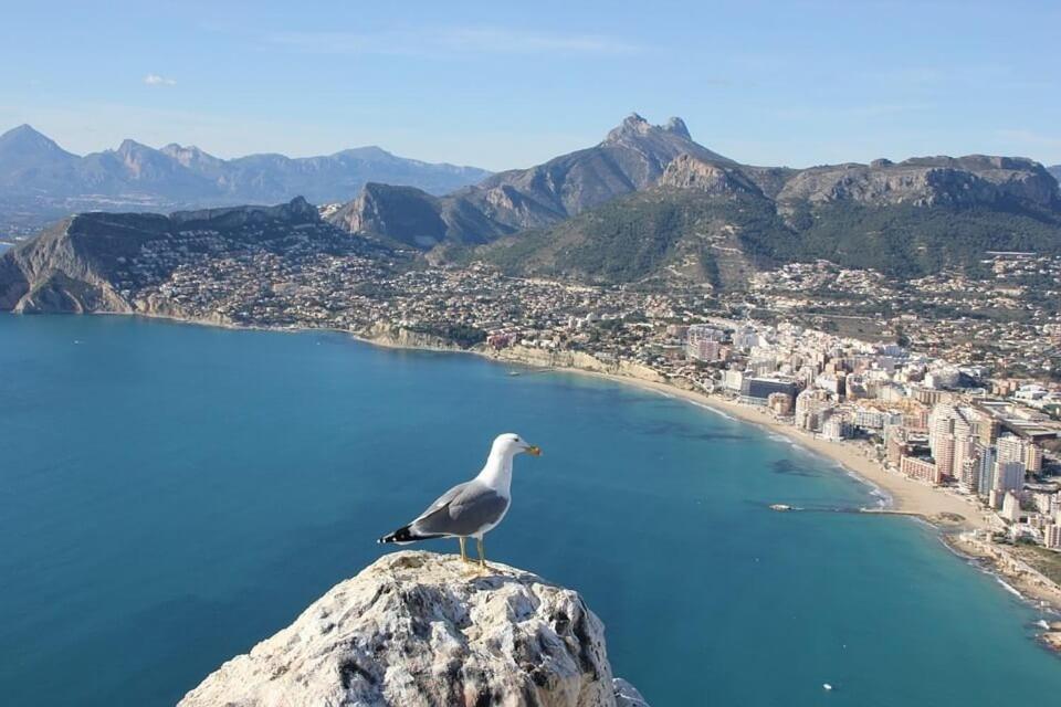 Villa Quimera - Plusholidays Benissa Dış mekan fotoğraf